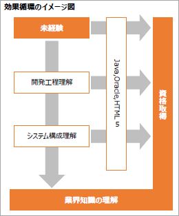 効果循環のイメージ図